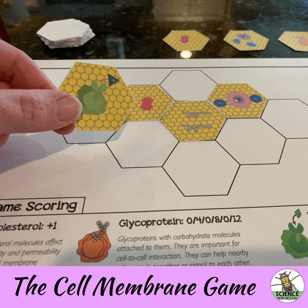 Cell Membrane Strategy Game